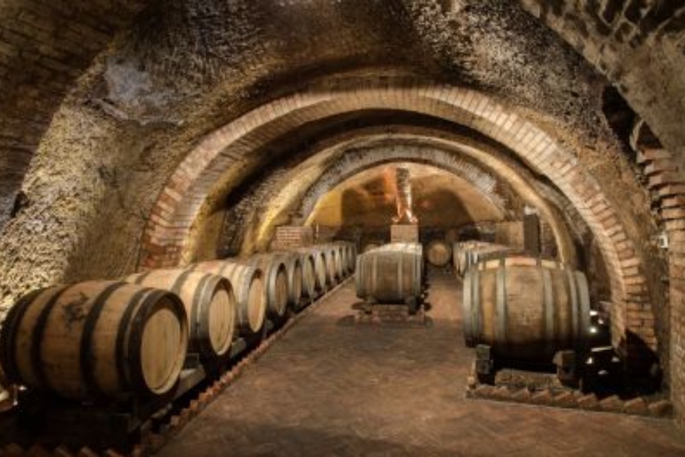 cantine basilicata